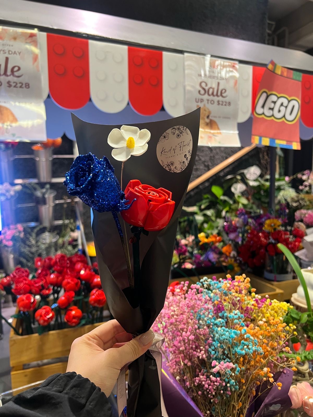 星辰之約 Starry Oath