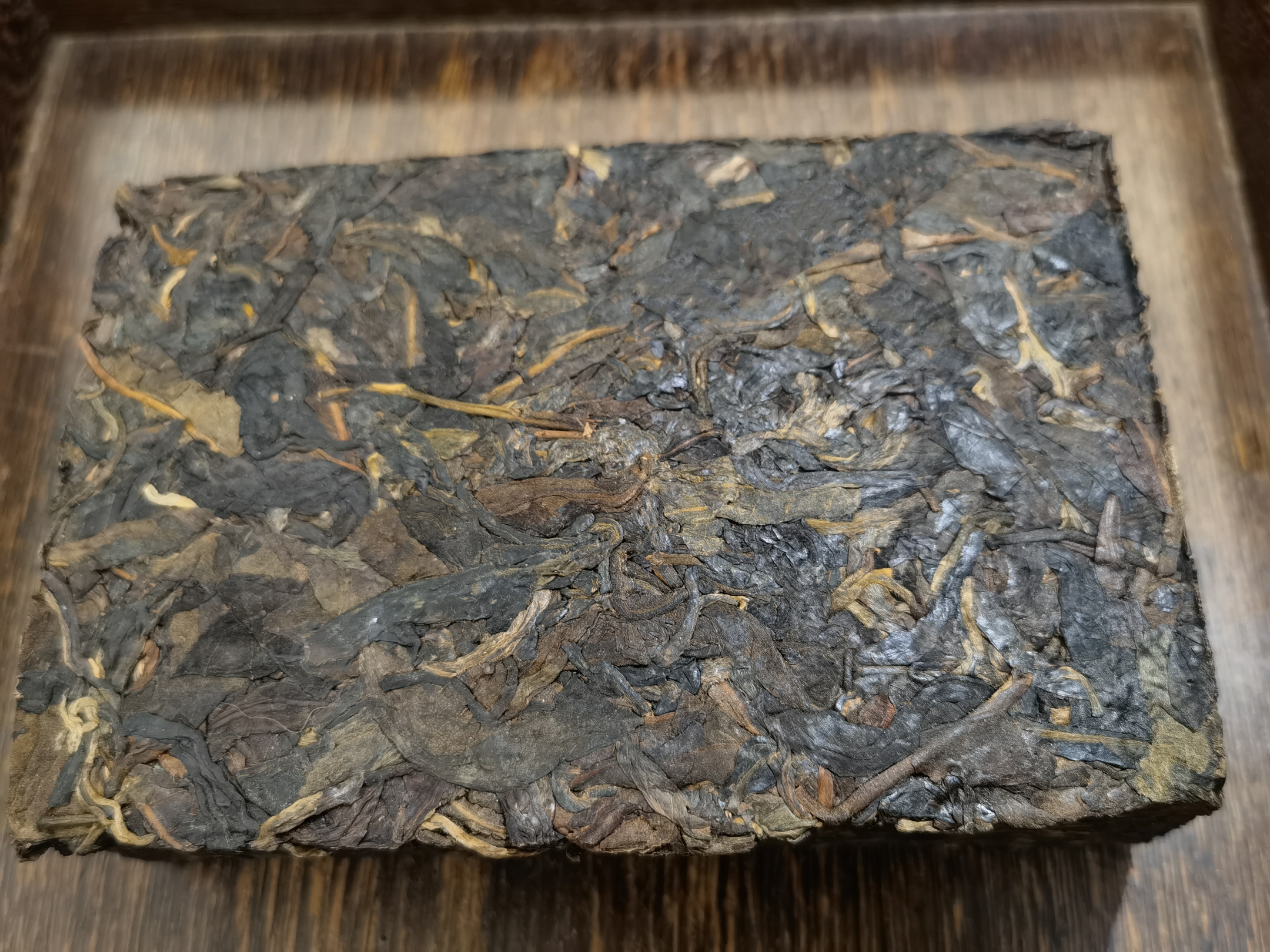 2009年 生態班章磚（大葉)