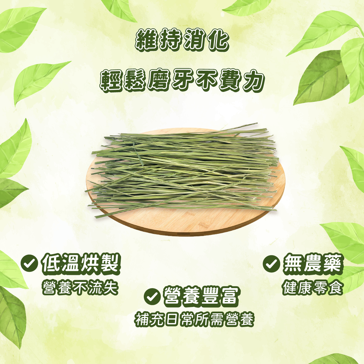 台灣愛米可緹 天竺草 - 15g