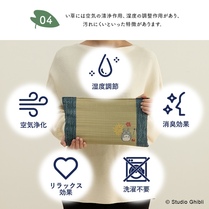 🆕【⭐訂購⭐】🇯🇵日本直送 #龍貓 #日本製 蘆葦草 枕頭［7款選］🌀 [ELDD-0273][260530]