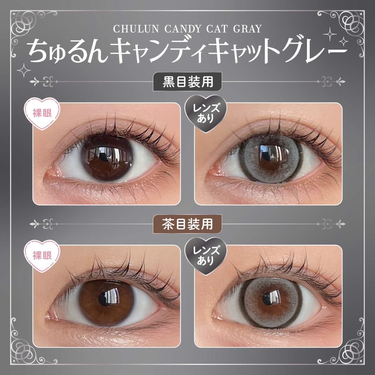 Honey Kiss - Chulun Candy Cat Gray (1month)