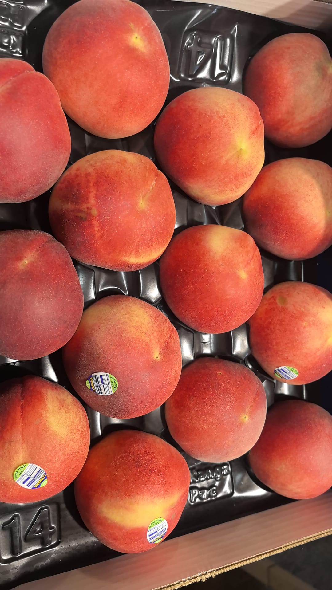 澳洲水蜜桃每份兩個