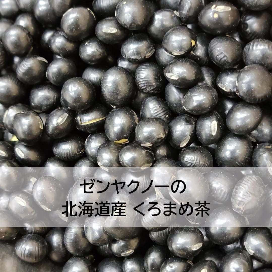 日本直送 - JHA 北海道黑豆茶(4克*24茶包）