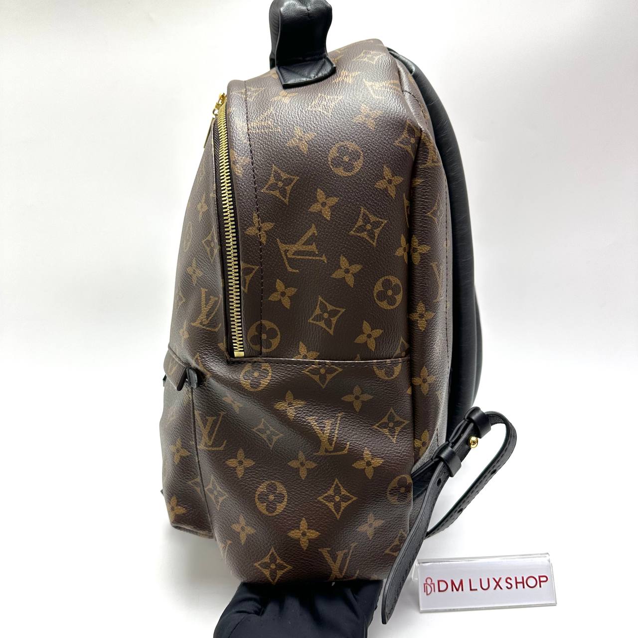 LV Monogram Palm Springs Backpack PM GHW