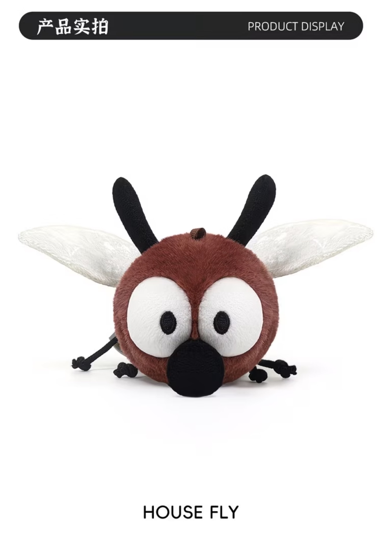 Red Bean Fly 