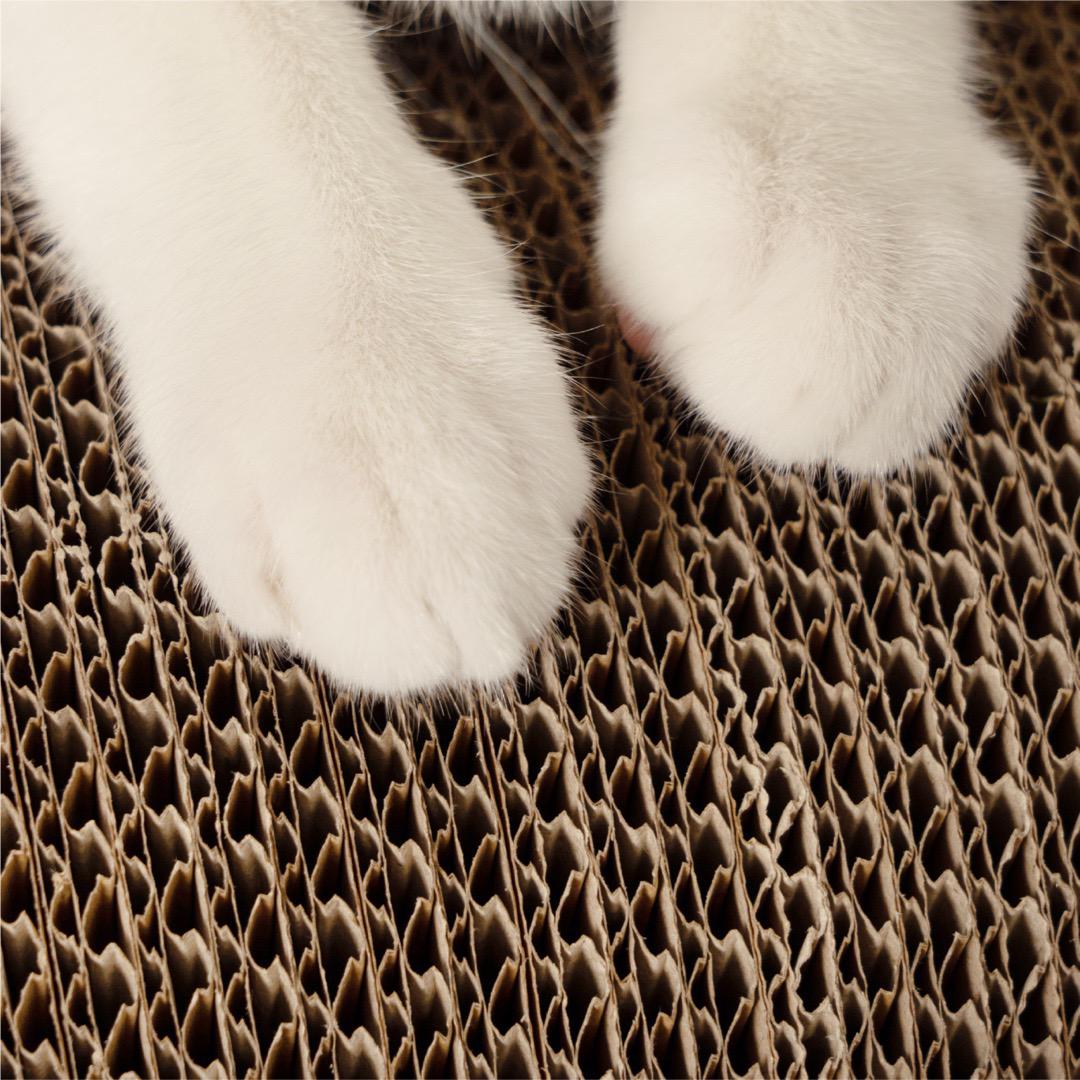 汪喵星球 經典8字型貓抓板｜不掉屑貓抓板