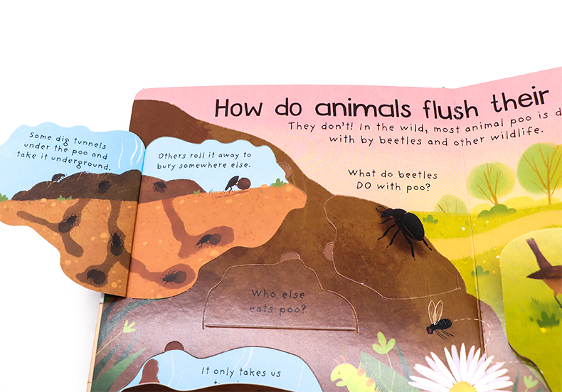 Usborne First Questions and Answers系列翻翻書 Where Does Poo Go便便去哪裡了