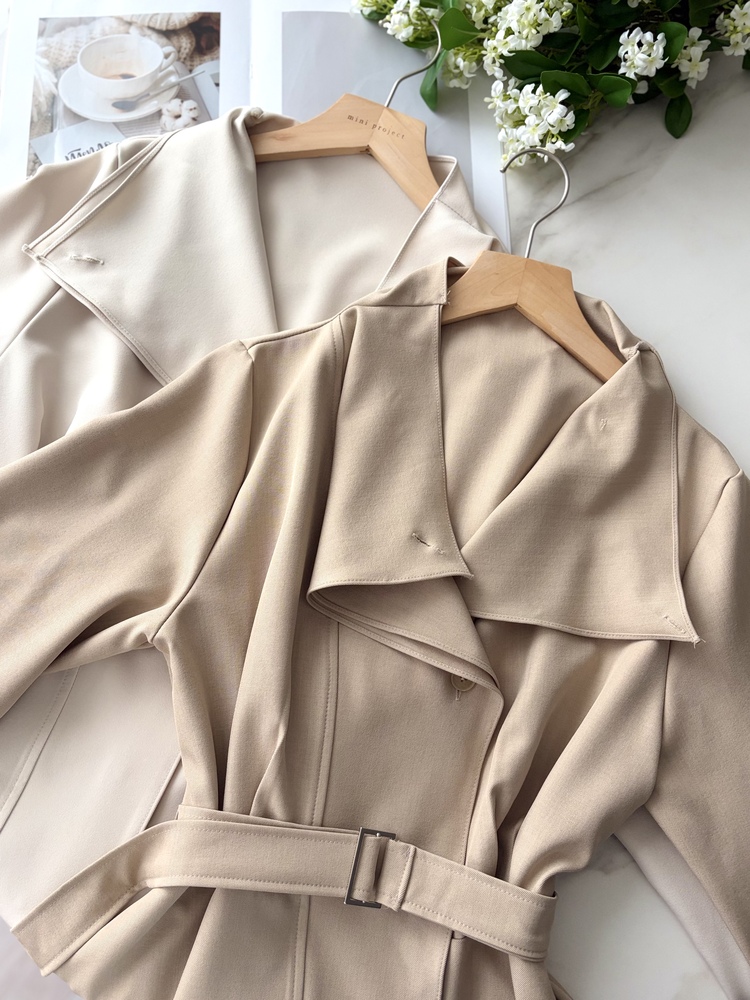 Classic Flared Trench Dress (Warm Beige)