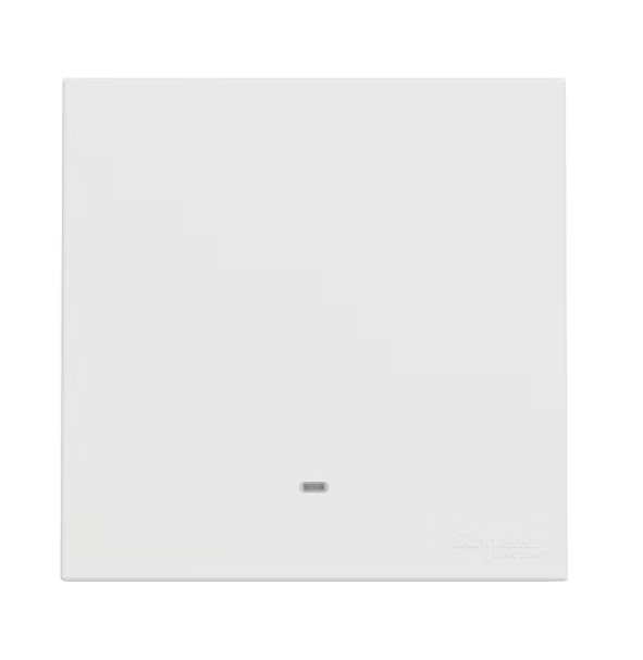 施耐德 奐然AvatarOn C 白 1位雙控 開關掣