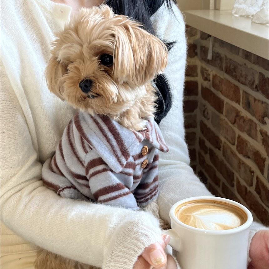 韓國 毛毛間條 衫衫 💚🩵