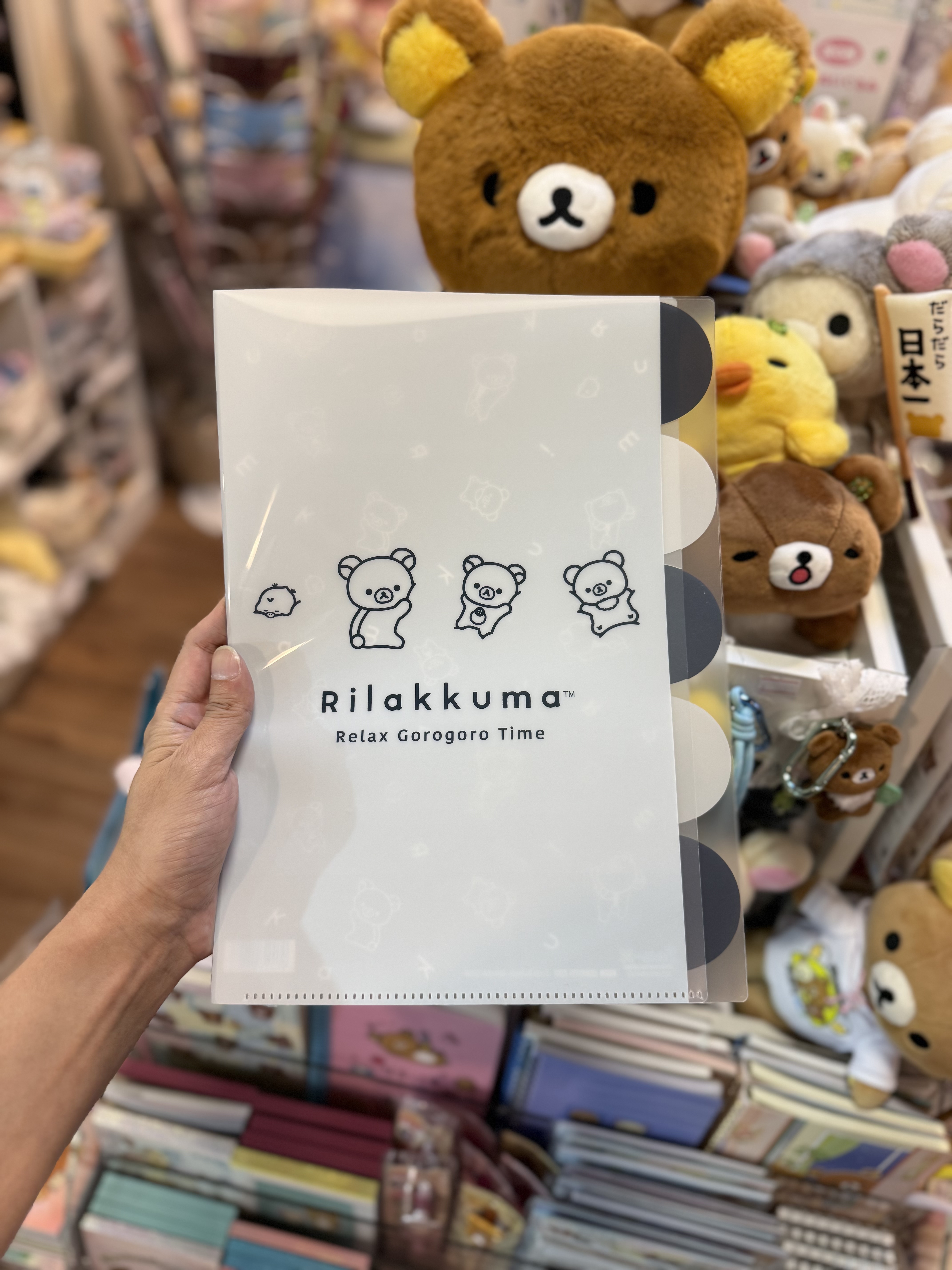 《現貨》全新Rilakkuma黑白造型A4 分格file