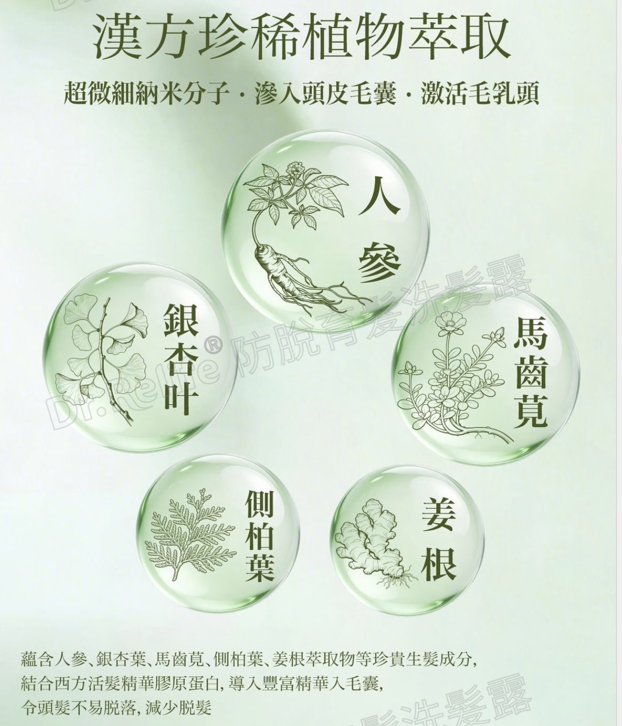 Dr.Relife 防脫洗髪露/護髮素