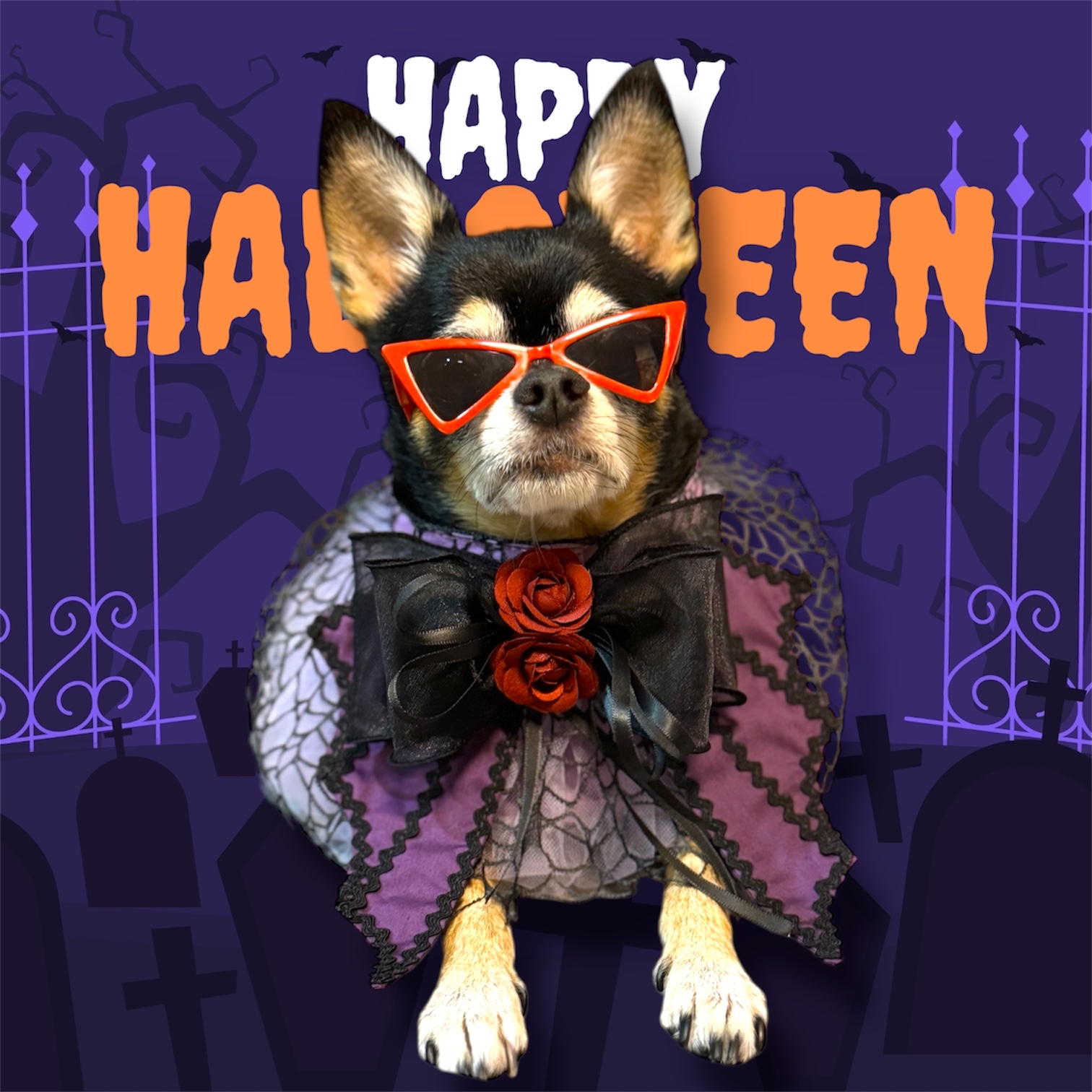 寵物手作 Halloween 暗黑者 歌德風 頸飾