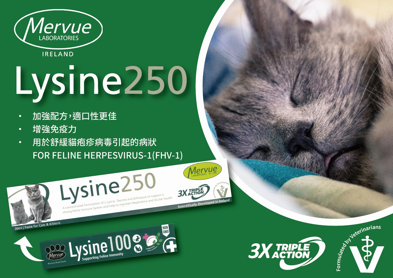 Mervue - Lysine 250 貓用補充劑(舒緩貓疱疹病毒病狀) 30ml