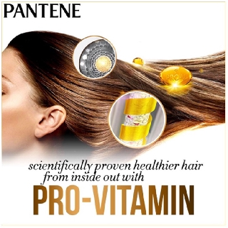 Pantene Shampoo 170ml / DAILY MOISTURE