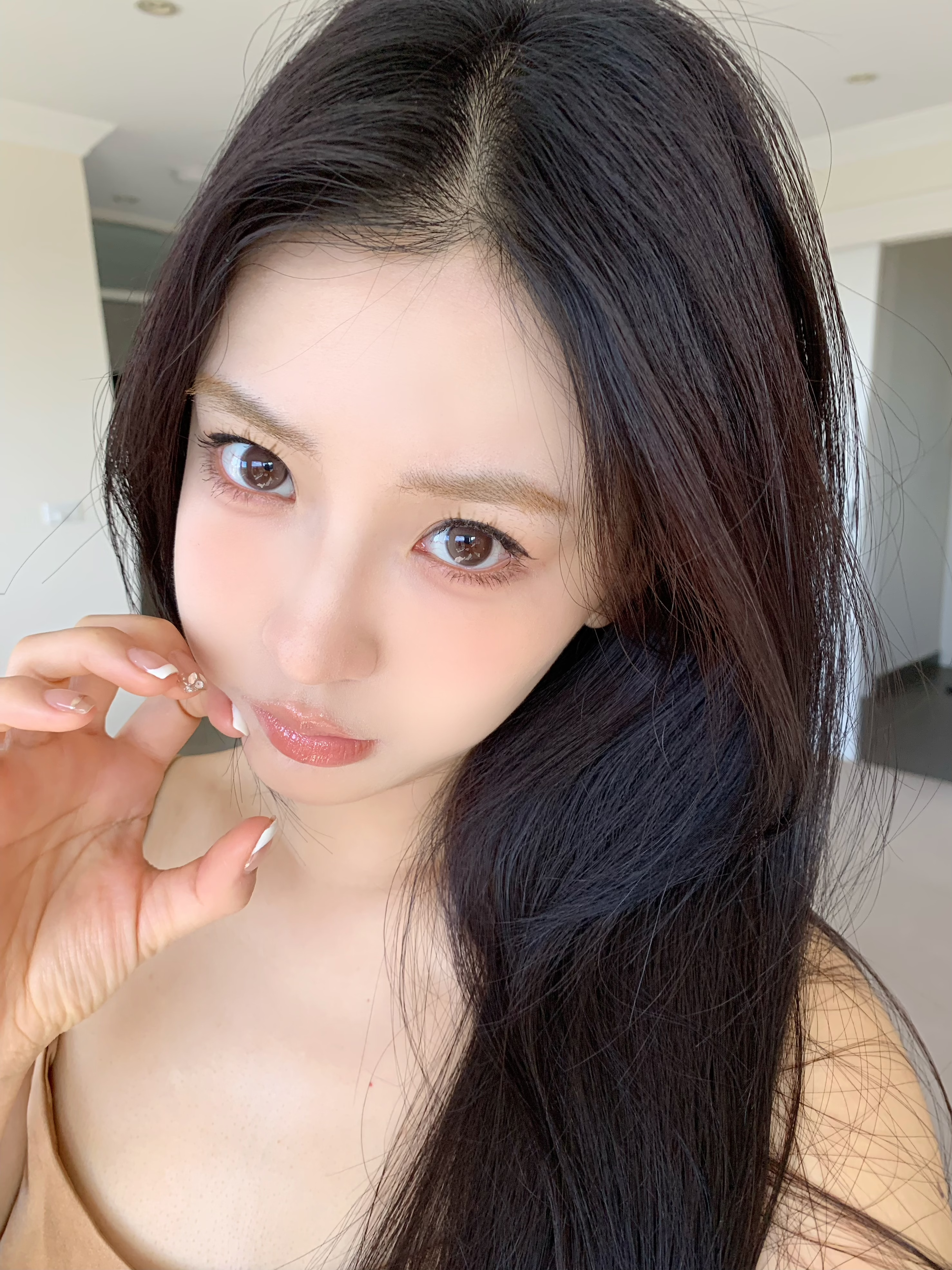 Kaylens 半年拋 月神閃蝶/星褐閃碟/紫晶閃蝶