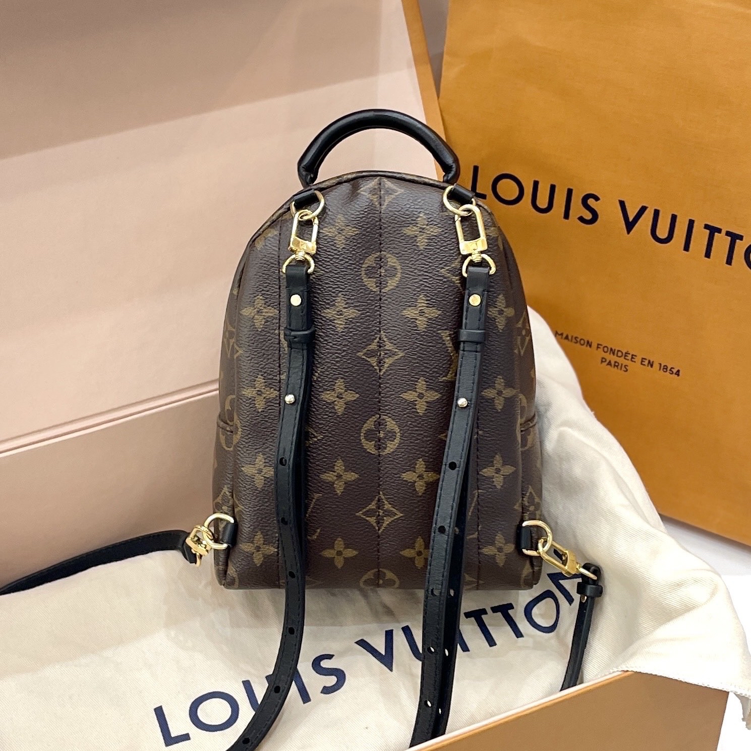 【預訂貨品】LV老花plam springs迷你書包 