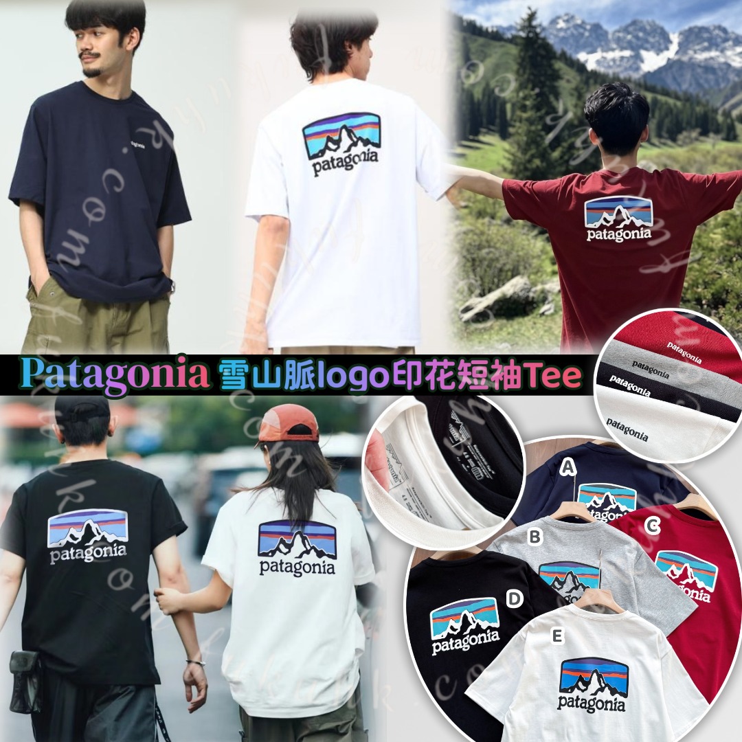 Patagonia 雪山脈logo印花短袖Tee