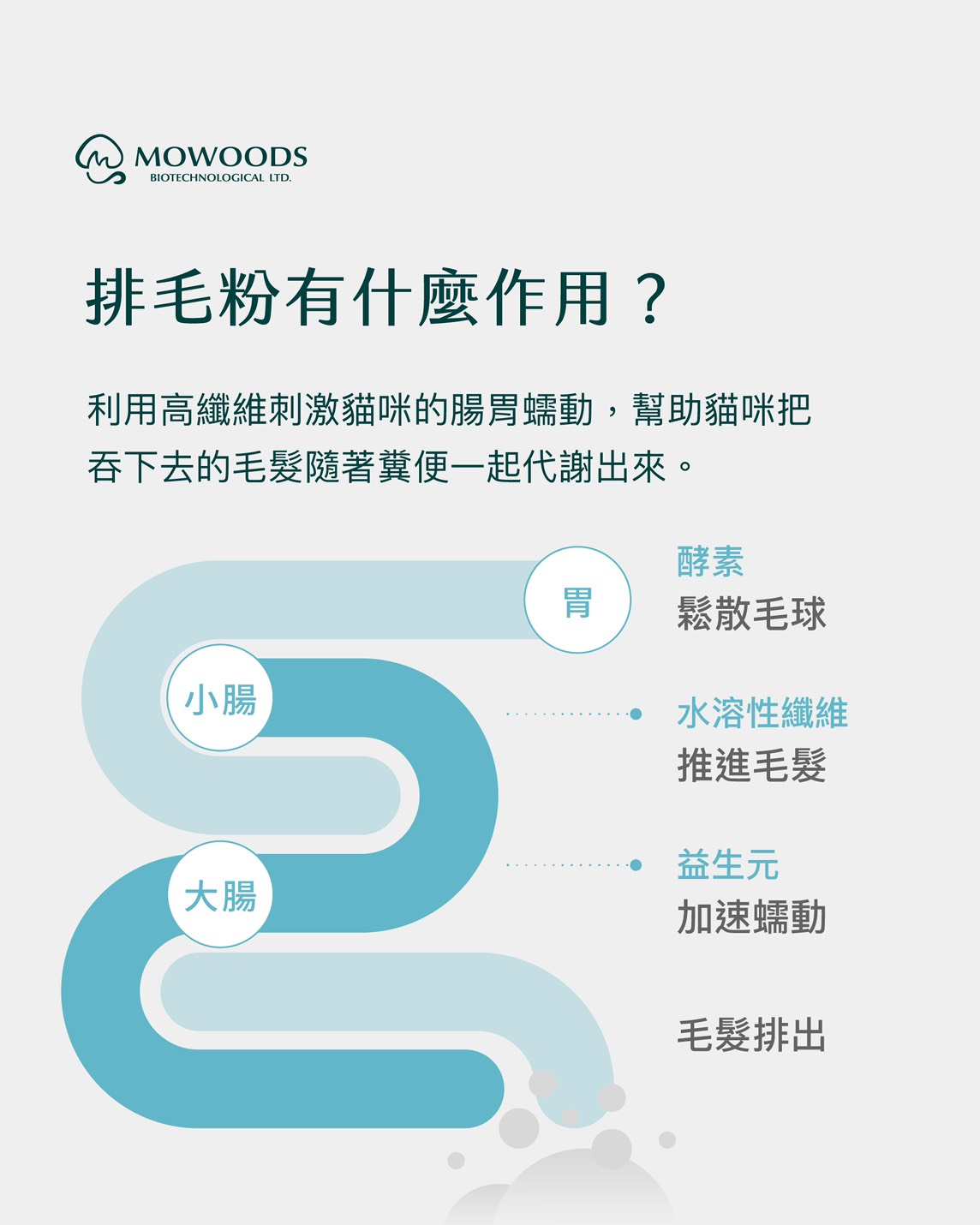 MOWOODS | 天然貓咪排毛粉 50G