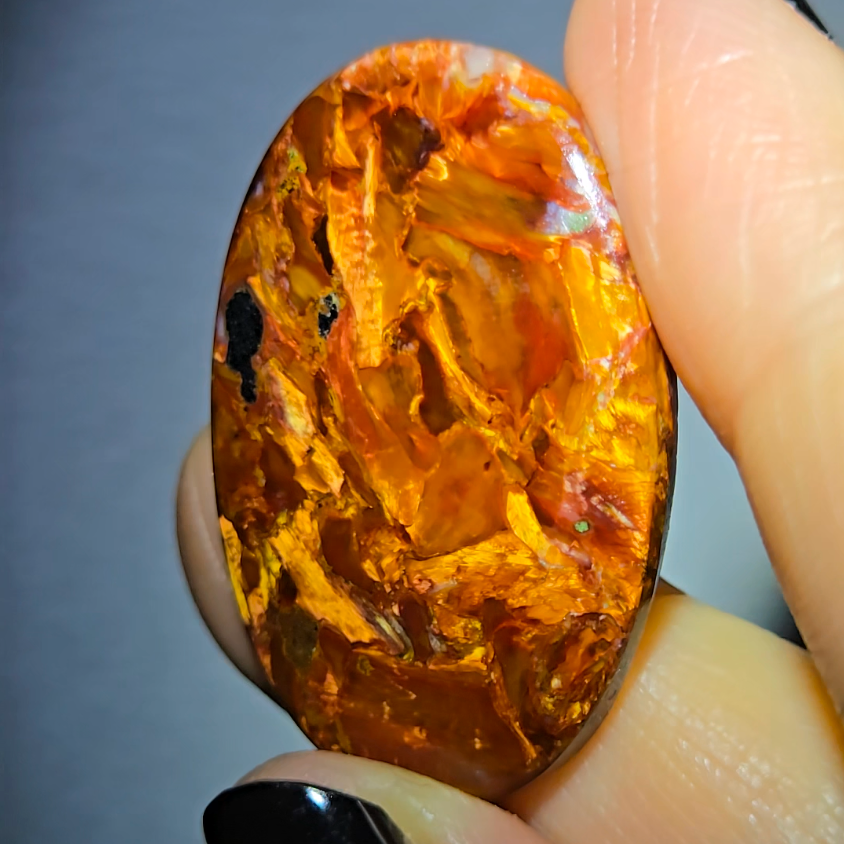 Golden pietersite cabochon - PT9