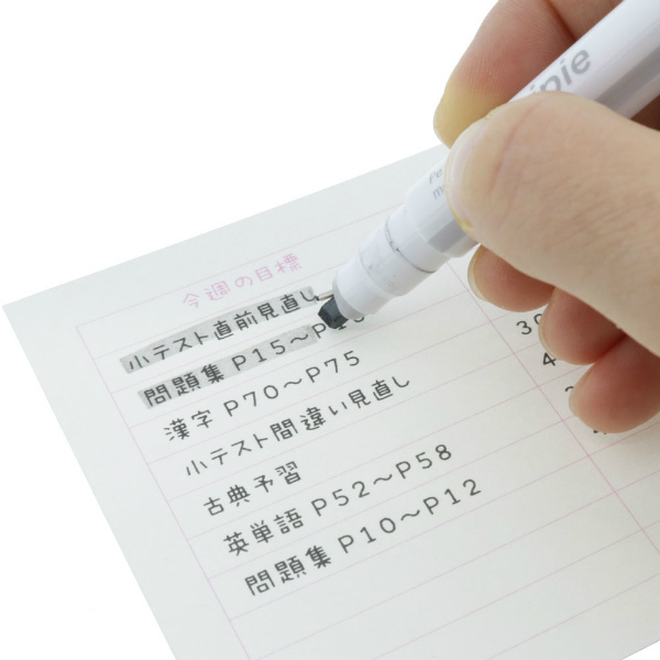 雙頭兩用螢光筆-灰黑 (S4539540)
