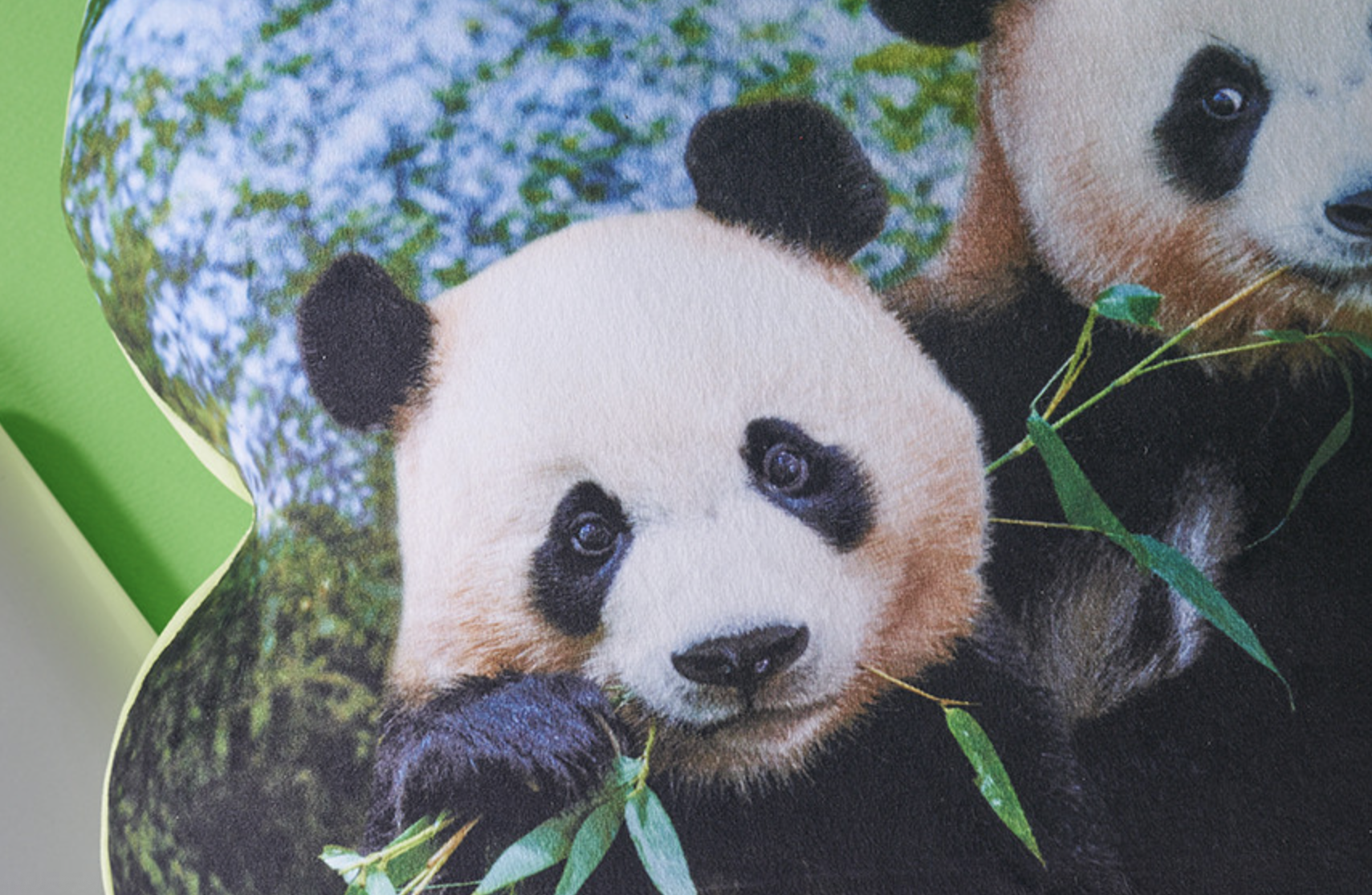 📦訂購 韓國代購 愛寶樂園 Everland Bao Family 寶家族 睿寶輝寶 Ruibao & Huibao Cushion 四葉草 抱枕 