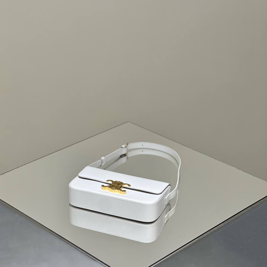 🔥大货实拍图 𝗖𝗘𝗟𝗜𝗡𝗘 ♥ 𝗧𝗥𝗜𝗢𝗠𝗣𝗛𝗘 𝗦𝗛𝗢𝗨𝗟𝗗𝗘𝗥 𝗕𝗔𝗚 型号：194143 尺寸：20*10*4cm