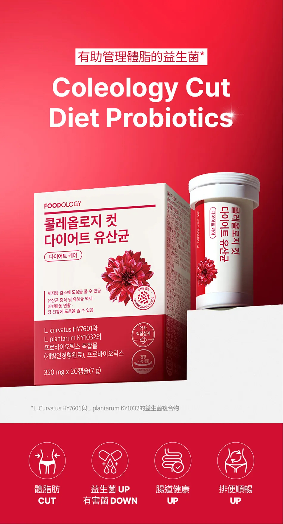 FOODOLOGY 纖體活性益生菌 Coleology Cut Diet Probiotics  (20粒/10天)