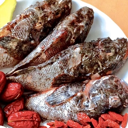 野生速凍石崇魚約600g