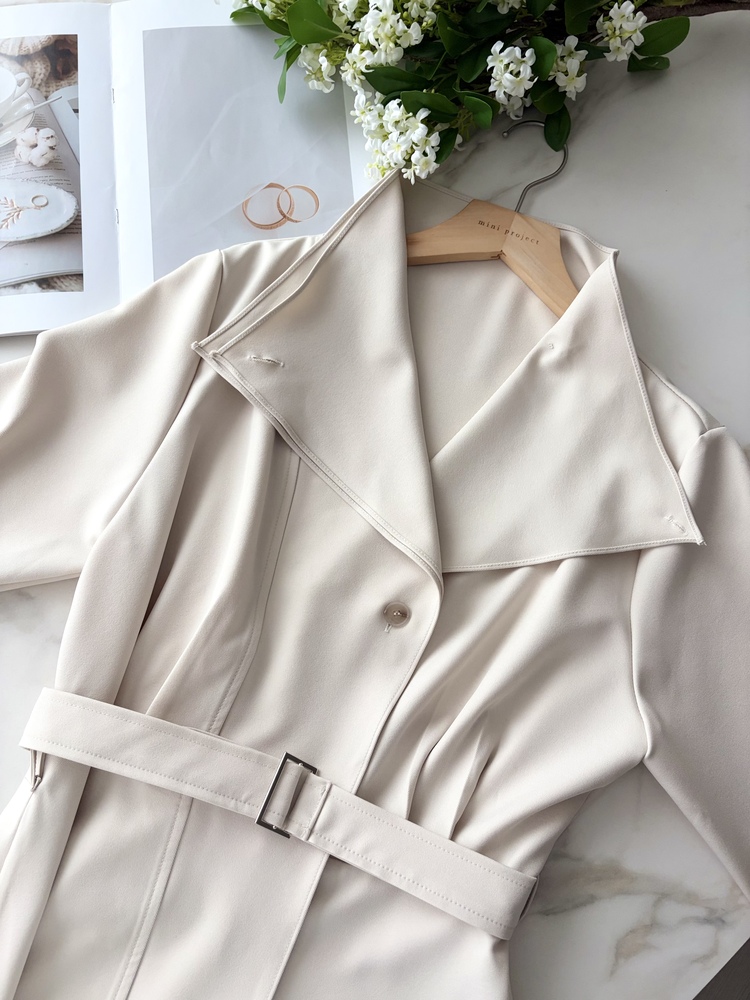 Classic Flared Trench Dress (Warm Beige)