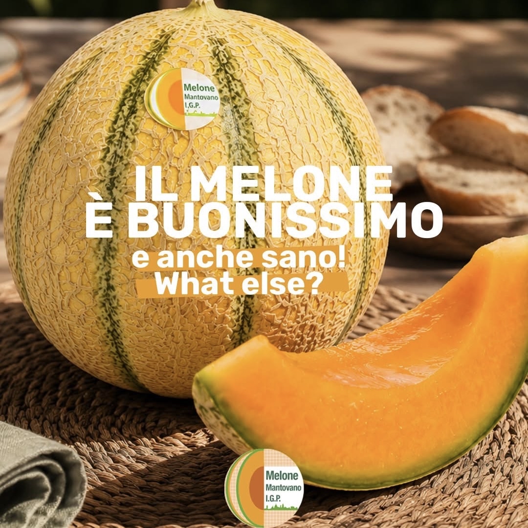 💧意大利 PGI麝香蜜瓜 Italy Melone Mantovano PGI Musk Melon
