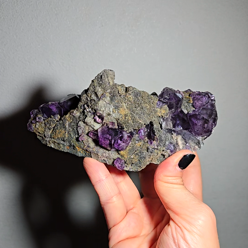 Tanzanite fluorite cluster with big dodecahedral gems - FL359