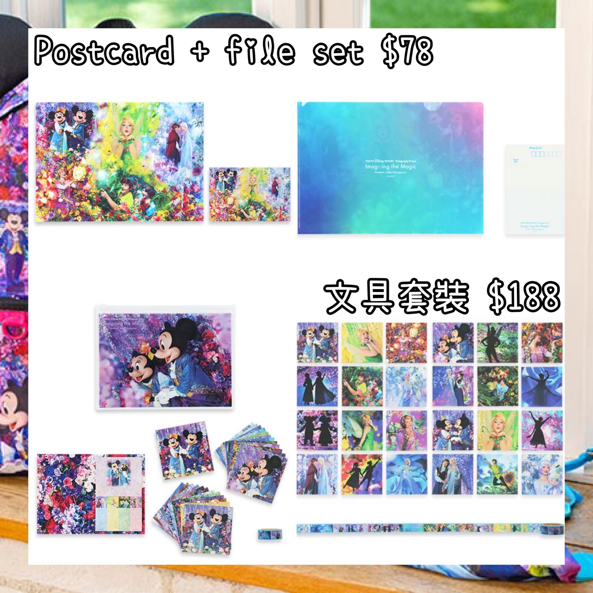 ：日本：DISNEYLAND園區產品 IMAGINING THE MAGIC 6/3 日本發賣 POSTCARD + FILE SET 文具套裝
