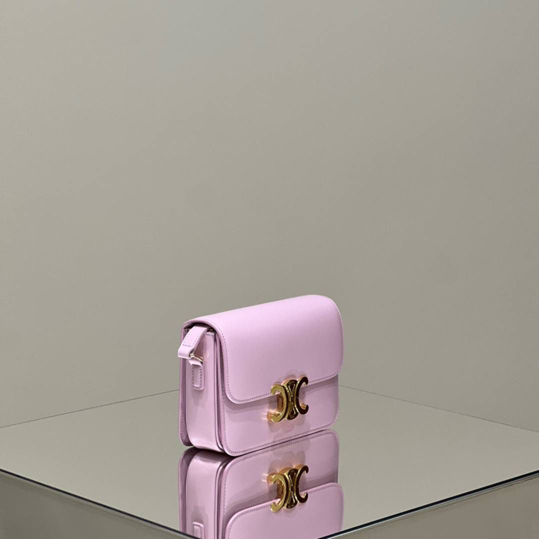 🔥大货实拍图 𝗖𝗘𝗟𝗜𝗡𝗘 ♥ 𝗧𝗘𝗘𝗡 𝗧𝗥𝗜𝗢𝗠𝗣𝗛𝗘 型号：188423 中号尺寸：22.5*16*7cm 小号尺寸：18.5*14*6cm