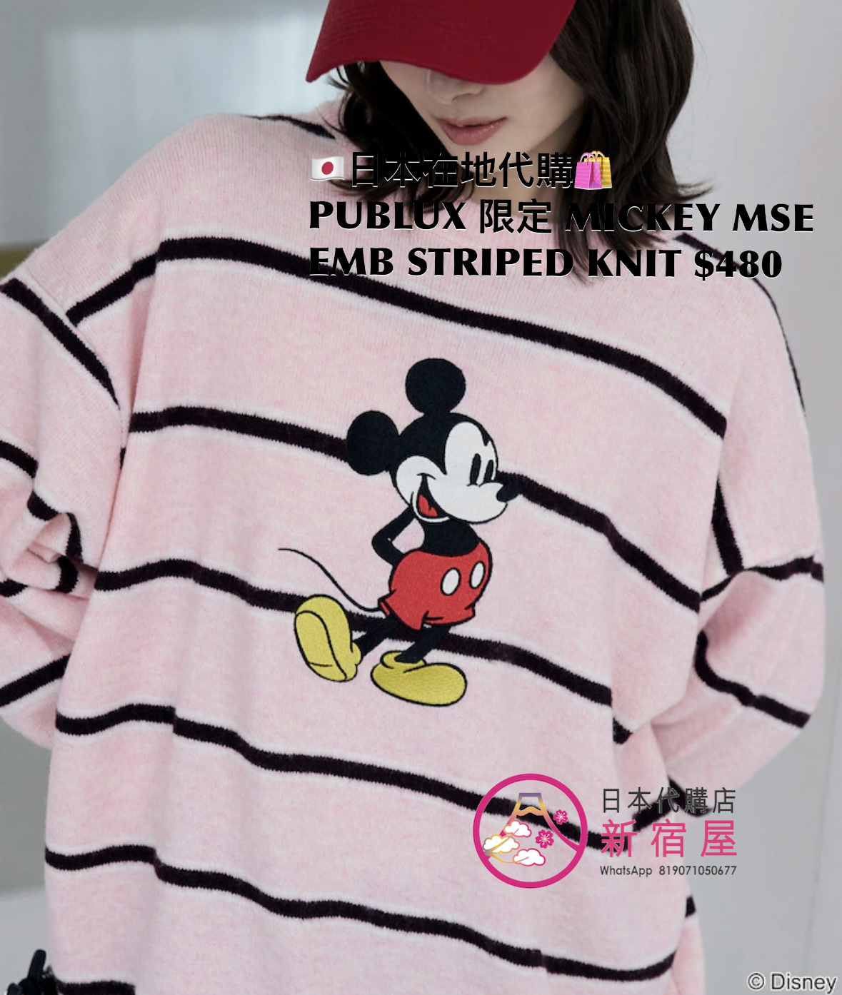 PUBLUX 限定 MICKEY MOUSE EMBROIDERY STRIPED KNIT