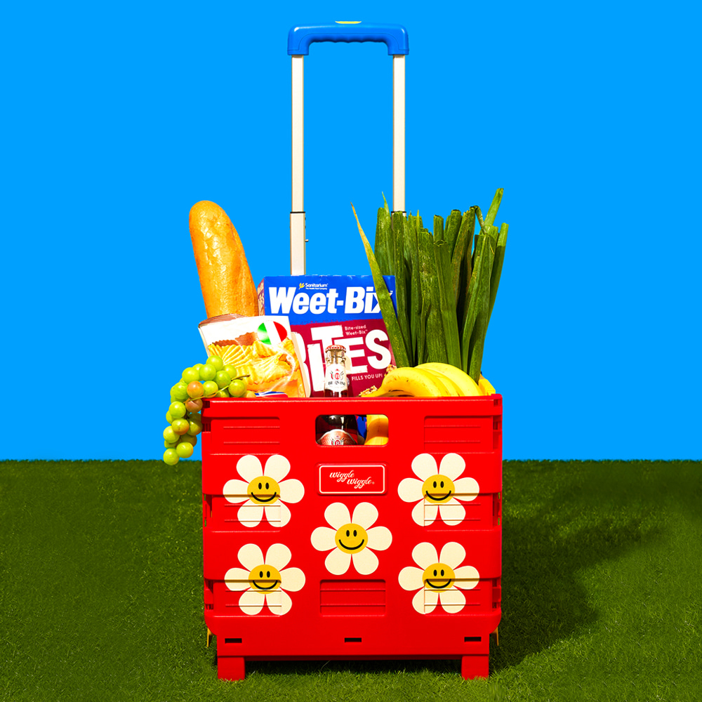 Wiggle Wiggle 彩色花花可摺疊車仔