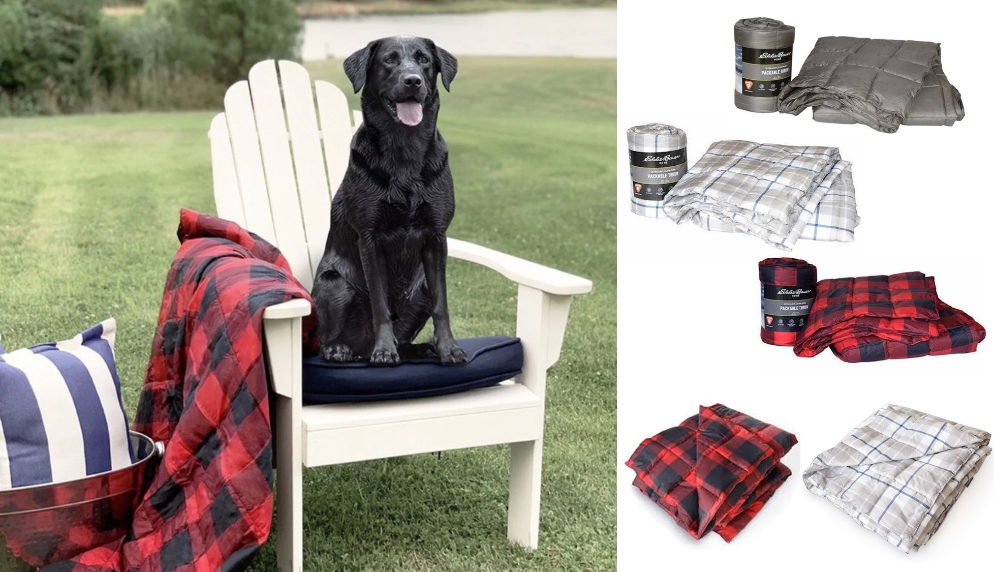 美國Eddie Bauer 便攜防敏仿羽絨被