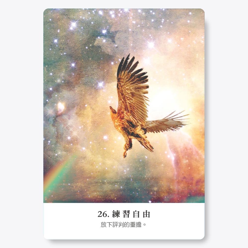 內在小孩神諭卡繁體中文版：療癒過去、擁抱當下的44 張心靈指引卡