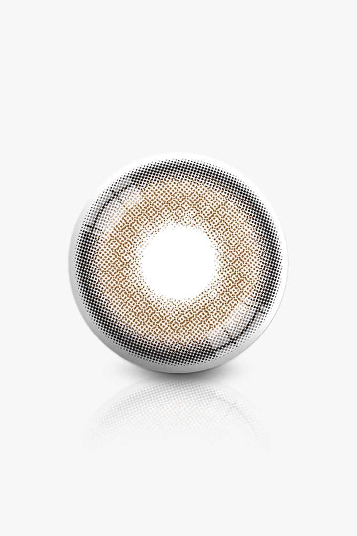 ANN365 - Photogenic Taupe Gray (1day/10P)