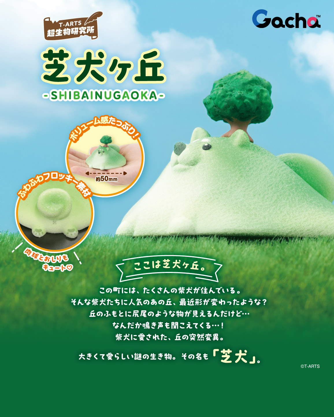 【6月預購】T-Arts - 草犬之丘 扭蛋