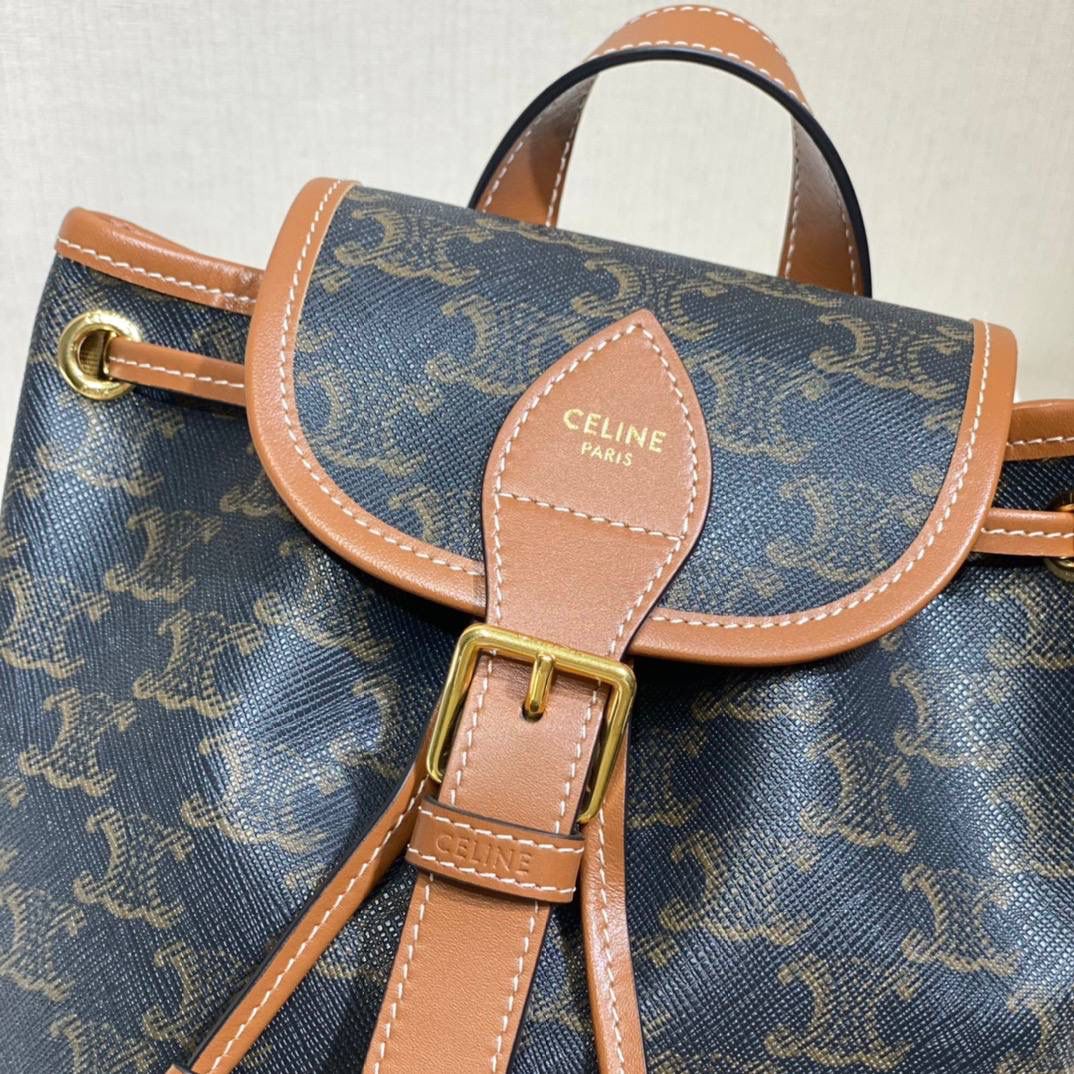 🔥大货实拍图 𝗖𝗘𝗟𝗜𝗡𝗘 ♥𝗧𝗥𝗜𝗢𝗠𝗣𝗛𝗘 𝗖𝗔𝗡𝗩𝗔𝗦 𝗙𝗢𝗟𝗖𝗢 型号：197662 尺寸：17*20*10cm 本命老花mini凯旋门背包🤎复古小巧，实用性设计🔥肩带长度可调节，单肩斜挎都很好看！