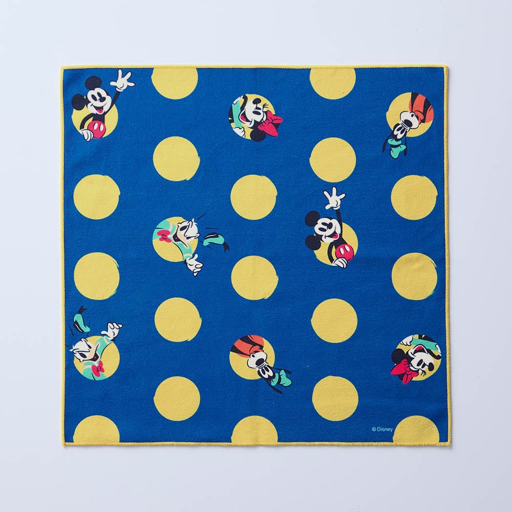🆕【⭐訂購⭐】 🇯🇵日本直送 🌀#Disney 可愛便當盒黏布［3款選］🌀 [PLED-0164] [260608]