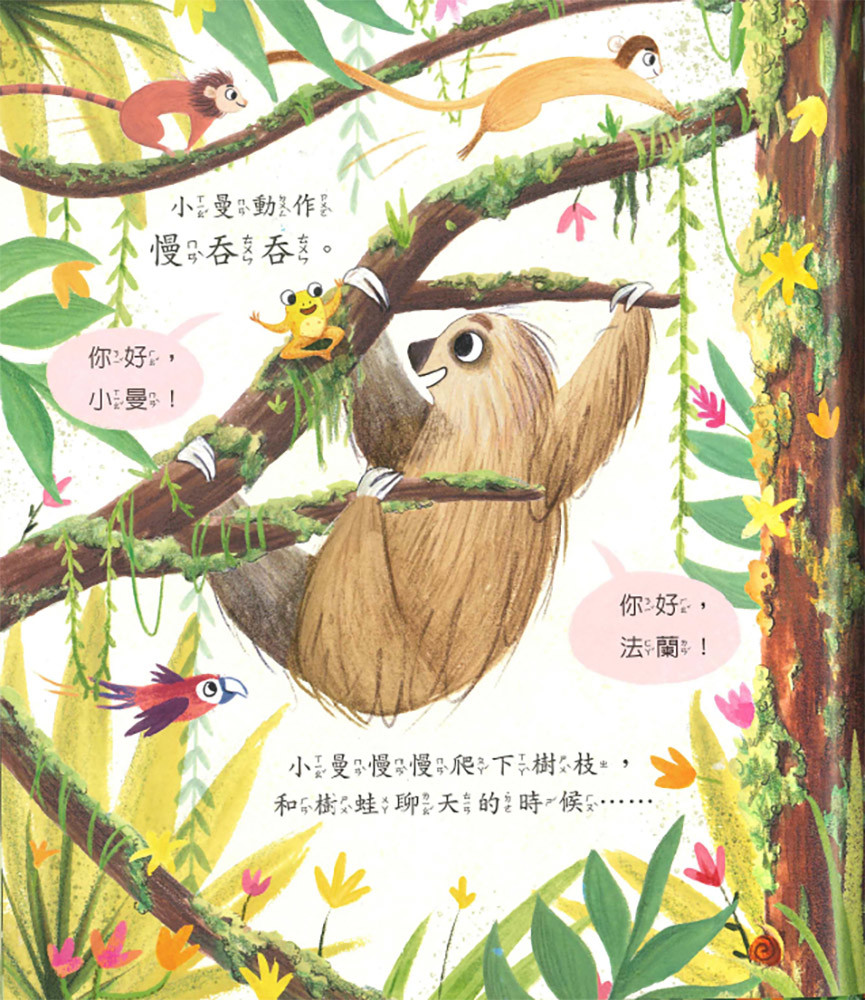 上人 慢吞吞的樹懶