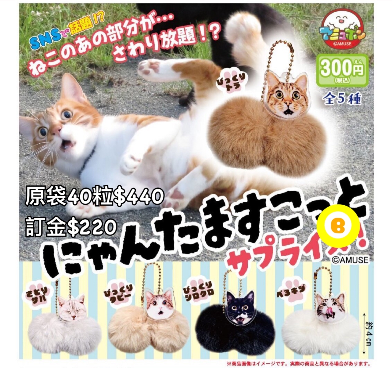 Preorder預訂8/2026年貓蛋蛋扭蛋原袋40粒