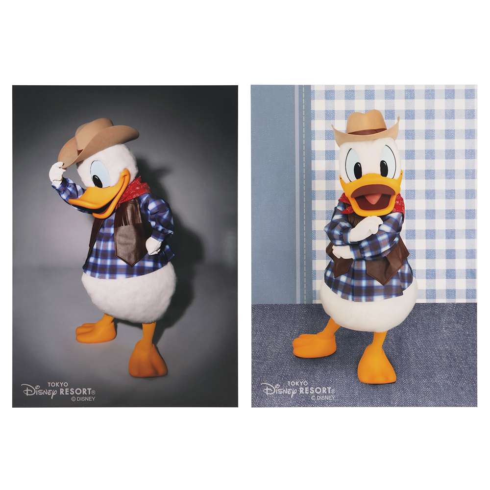 【預訂】TDR Donald 相片 6p