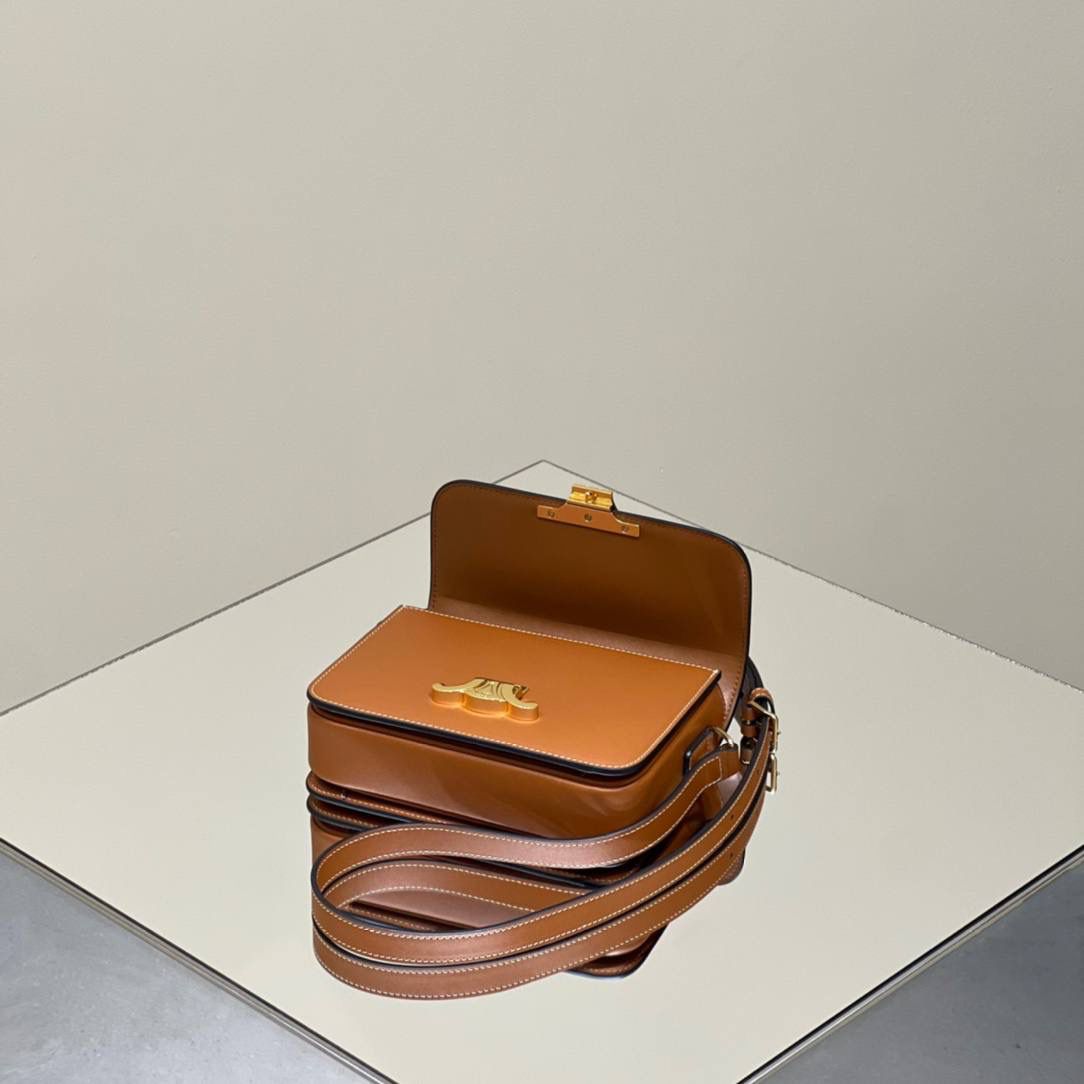 🔥大货实拍图 𝗖𝗘𝗟𝗜𝗡𝗘 ♥ 𝗧𝗘𝗘𝗡 𝗧𝗥𝗜𝗢𝗠𝗣𝗛𝗘 型号：188423 中号尺寸：22.5*16*7cm 小号尺寸：18.5*14*6cm