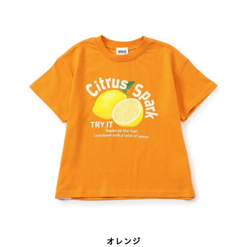 🆕【⭐訂購⭐】🌀 🇯🇵 日本直送 水果寫真🍉🍋🍎短袖 tee［3款選］🌀 [ELDA-0179][260520]