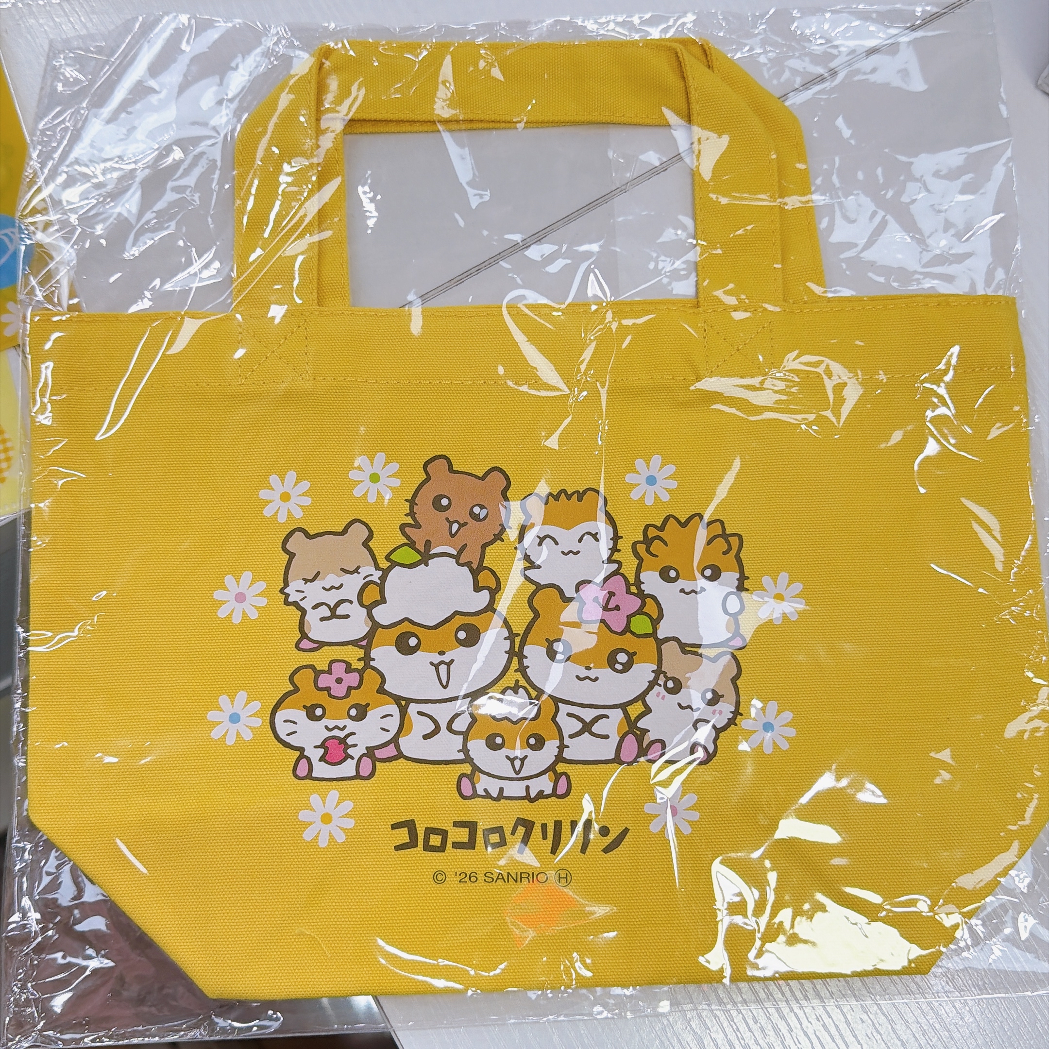 日本直送Sanrio CK新款文具系列