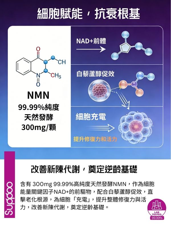 Suppoo森保寶NMN深導活關護目飲26包