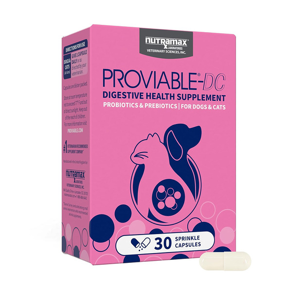 美國 Nutramax Proviable-DC  寵物益生菌